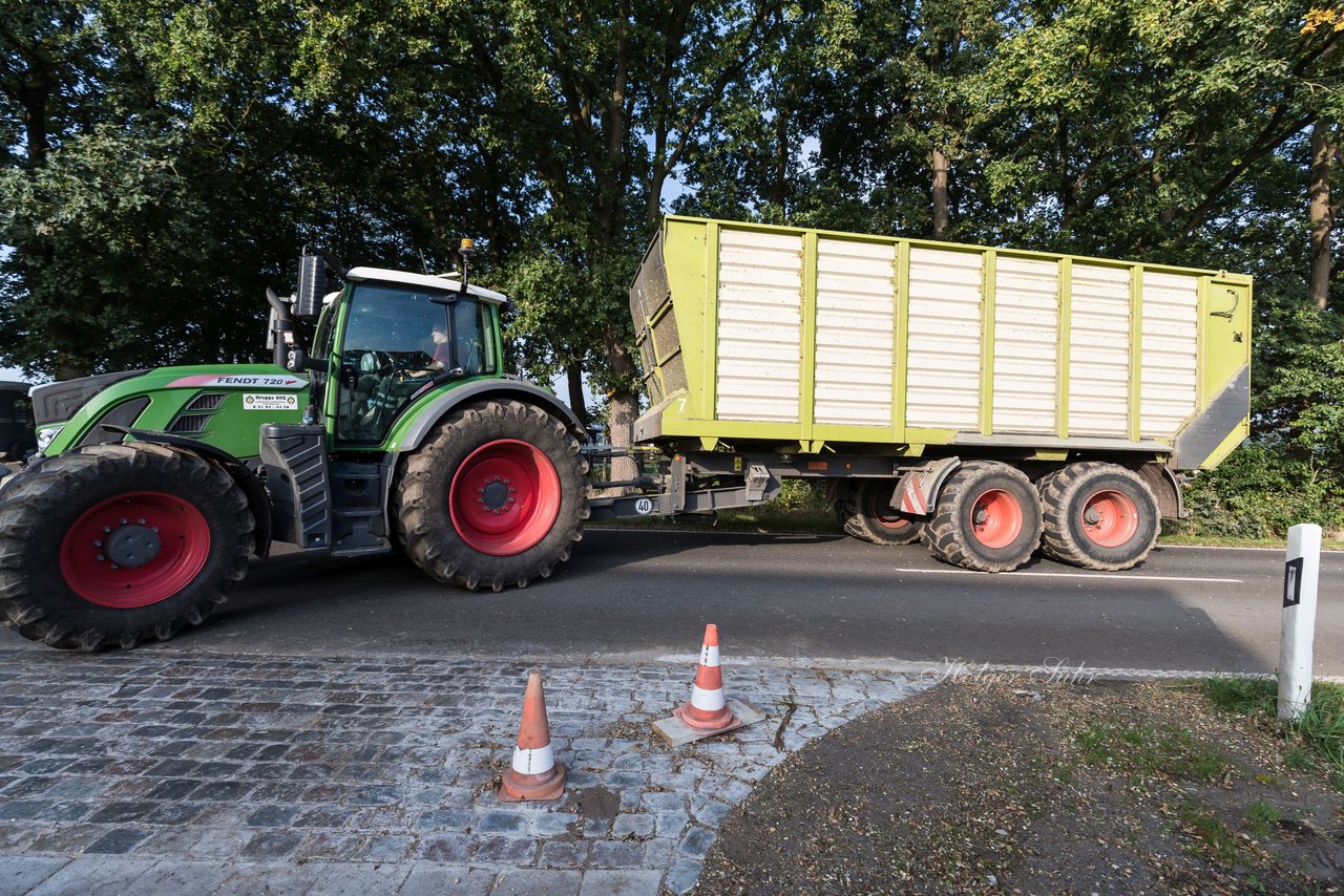 Bild 125 - Maisernte